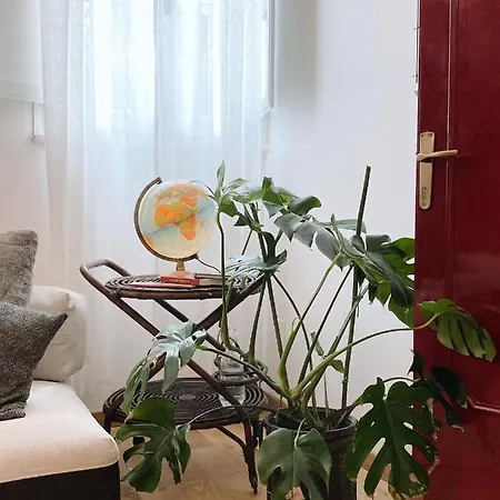 Caravanilia Studio Ferrara